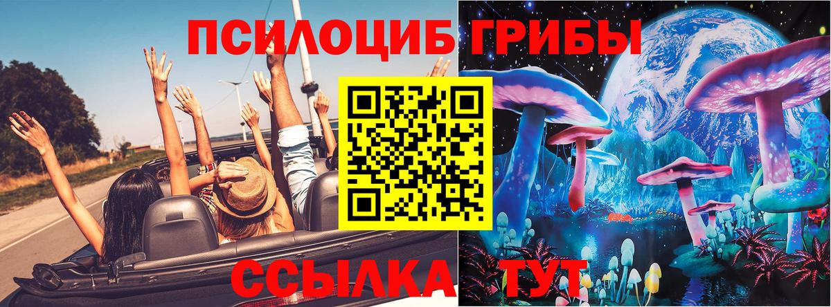 Галлюциногенные грибы GOLDEN TEACHER  Вход с VPN  Сызрань 